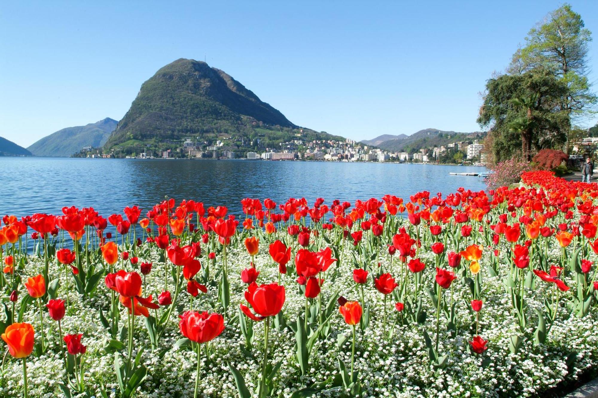 Little Lugano - Happy Rentals Buitenkant foto